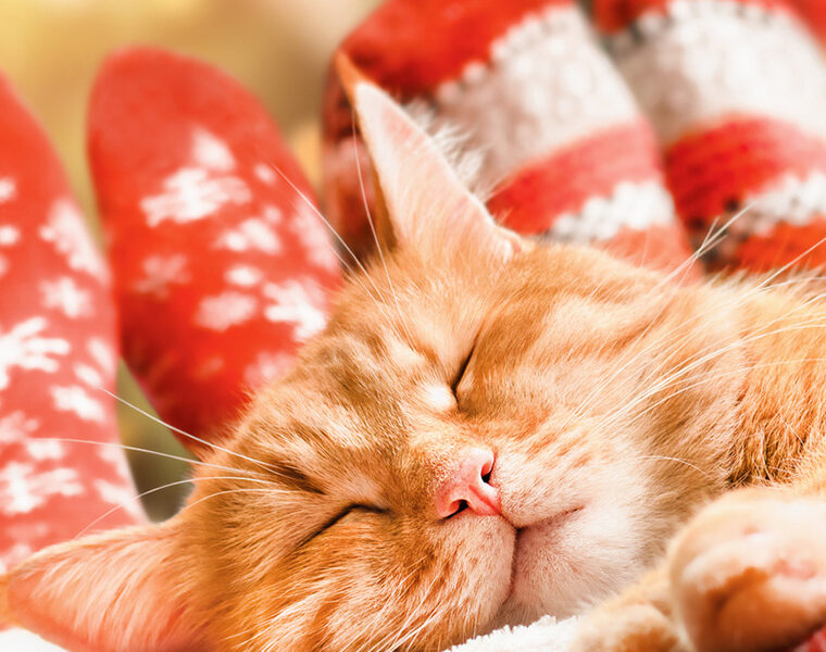 Tips from Therapists to Manage Holiday Stress