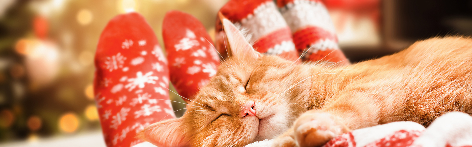 Tips from Therapists to Manage Holiday Stress