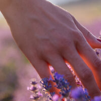 Nature Therapy For Mental Health