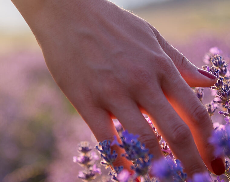 Nature Therapy For Mental Health