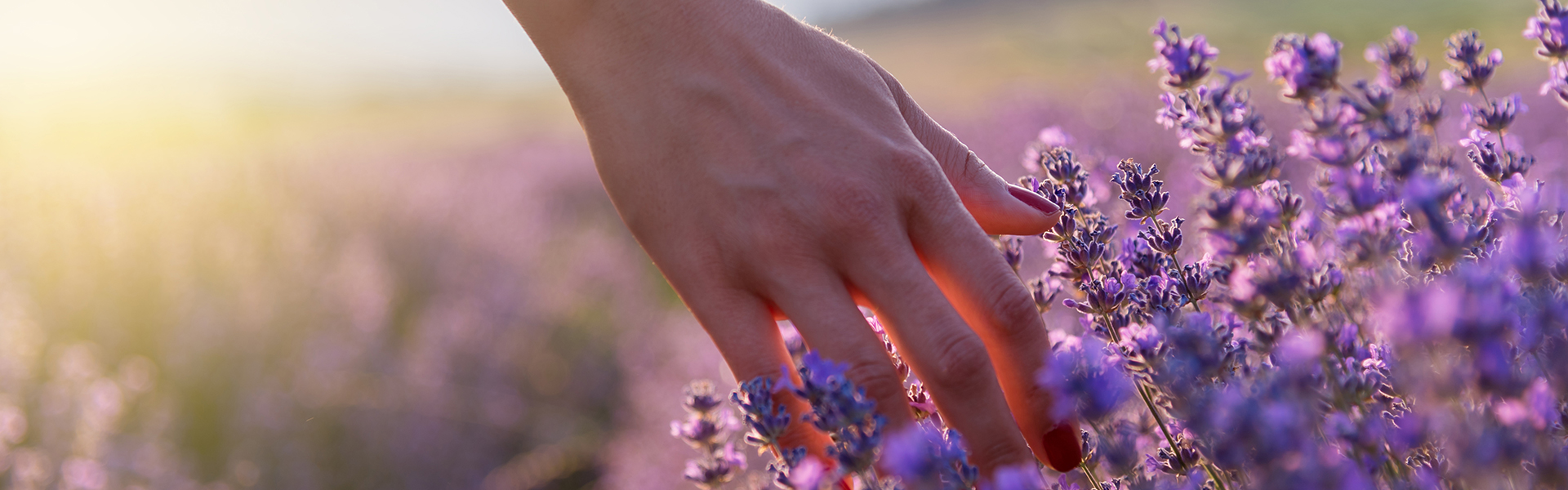 Nature Therapy For Mental Health