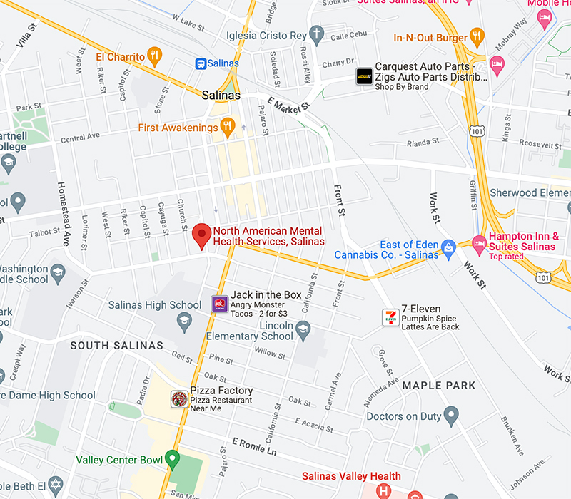 North American Mental Health Services In Salinas