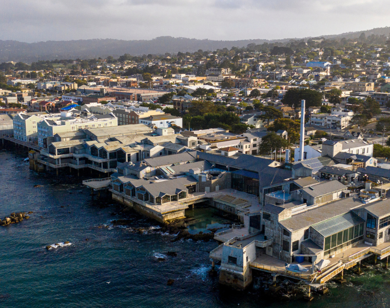 Arial photo of Monterey, CA home to NAMHS mental health center.